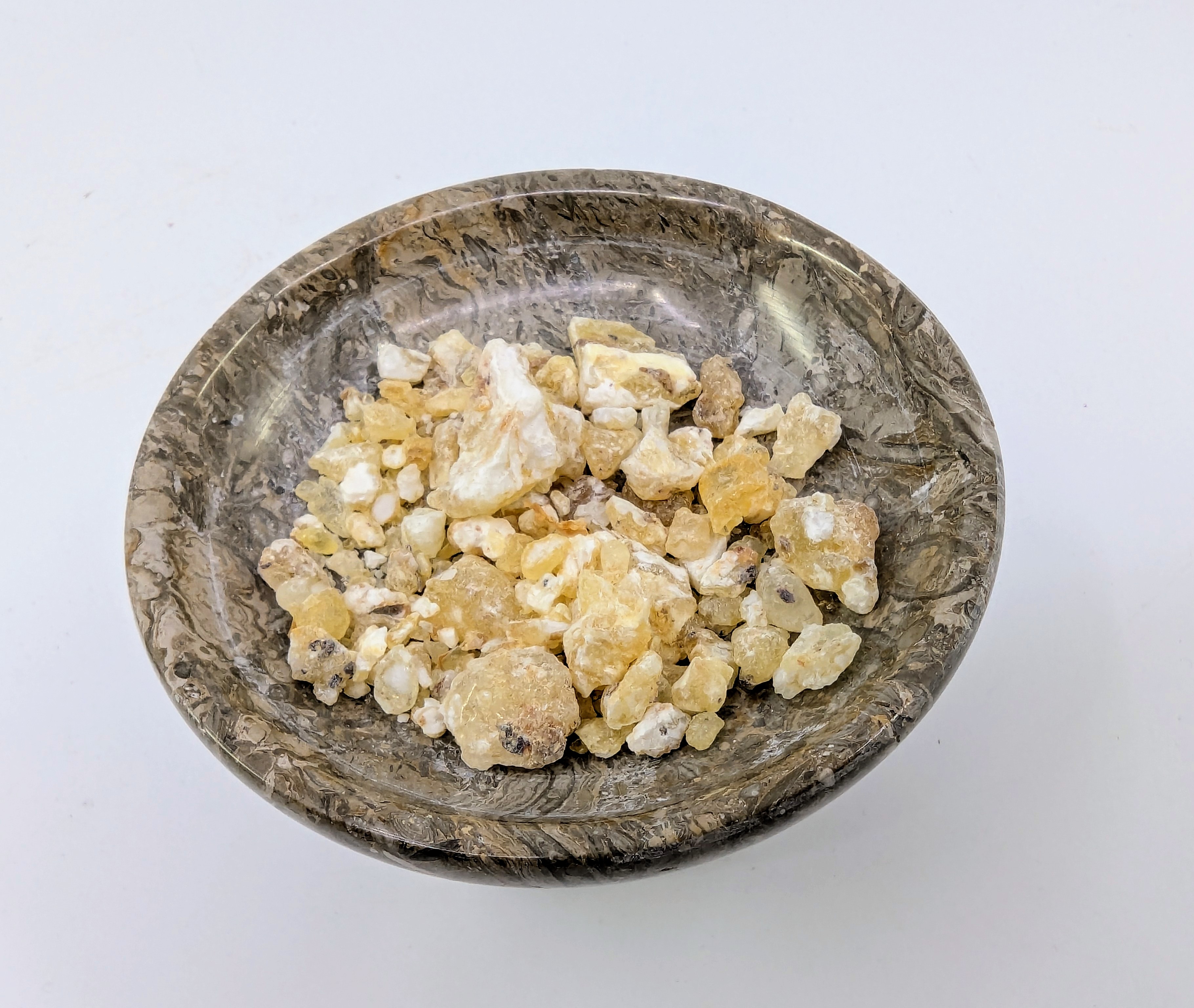 Boswellia frereana